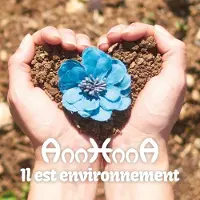 Sonic Il Est Environnement