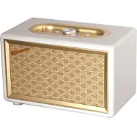 Roadstar enceinte Bluetooth Roadstar Bluetooth 310 BT