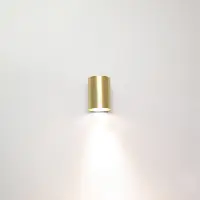 Artdelight Downlighter or Roulo1