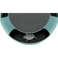 Trixie attrape la souris