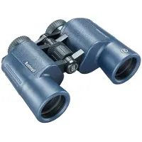 Bushnell H2o 2 12x42mm Binoculars Argenté