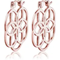 Elli Boucles d'oreilles or rose