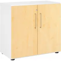 Hjh OFFICE PRO Armoire à portes battantes V9 (80 x 42 x 74.60 cm)