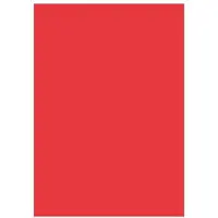 Kangaro Multifunktionspapier, DIN A4, 120 g/qm, rot beidseitig bedruckbar, holzfrei, chlorfrei gebleicht (A4, 120 g/m²)