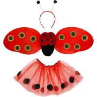 Widmann Set de déguisement coccinelle