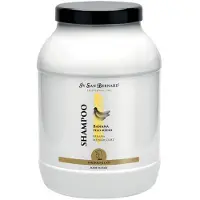 Iv San Bernard Trad Banana Shampoo 3l Clair