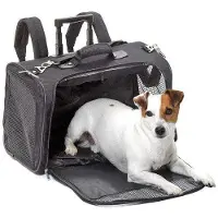 Flamingo Sac Smart Trolley Norton