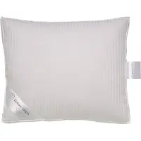 Ducky Dons Oreiller Boîte Ducky Dons 60% Duvet de canard