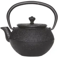 Cosy & Trendy Théière en fonte Cabine Size Takara Black avec Filtre Tsp69 0.35 L Noir