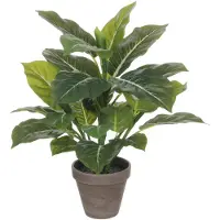 Mica Decorations Plante Artificielle Evergreen en Pot de Fleur Stan - H49 x Ø40 cm - Vert