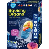 Kosmos Set éducatif de Squichy Organes Tiges, +8 ans,