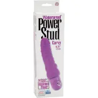 Calexotics Power Stud Curvy Gode Vibrant - Violet