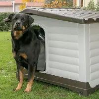 Ferplast Porte pour chien Dogvilla 29,6 x 46,9 cm transparent