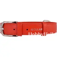 Collar Pet Collier De Chien Glamour