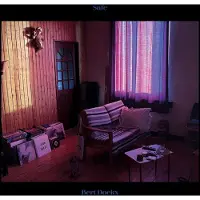 NEWS Bert Dockx - Safe Cd