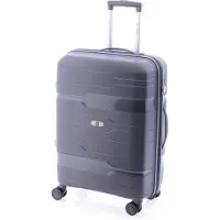 Gladiator Boxing Trolley Bag Gris