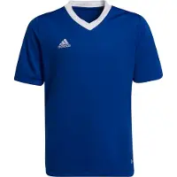 Adidas T-Shirt fonctionnel 'Entrada 22' bleu roi / blanc
