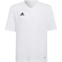 Adidas T-Shirt fonctionnel 'Entrada 22' noir / blanc