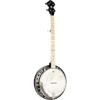 Ortega Falcon Series 5-string Banjo Transparent Charcoal banjo électro-acoustique avec housse