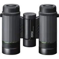 Pentax Jumelles VD 4 x 20 WP Gris et noir