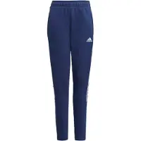 Adidas Tiro 21 Pants Bleu 13-14 Years Enfants
