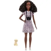 Barbie Mattel DVF50, HCN10 - Poupée photographe animalier