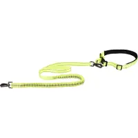 Flamingo Laisse Pour Chien Diran Running