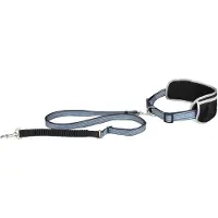 Flamingo Rono Dog Leash Bleu