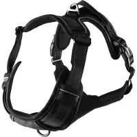 Flamingo Harnais Pour Chien Balou