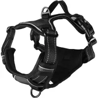 Flamingo Harnais Balou Noir pour chien