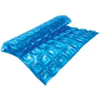 Igloo Coolers 88 Cubes Freez Pack Clair