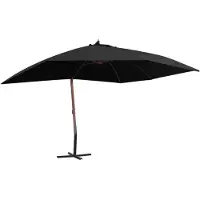 vidaXL Parapluie avec mât en bois 400x300 cm noir