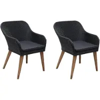 vidaXL Chaises de jardin avec coussins 2 pcs. Poly rotin noir