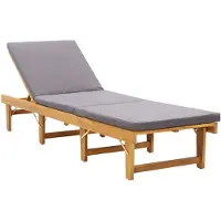 vidaXL Bain de soleil pliable avec support Acacia massif