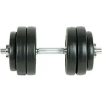 vidaXL Ensemble d'haltères 15 kg