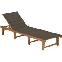 vidaXL Bain de soleil pliable avec support Acacia massif