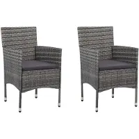 vidaXL Chaises de jardin 2 pcs. Poly rotin gris