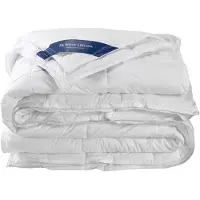 De Witte Lietaer Couette 4 Saisons De Witte Lietaer Ducky Duvet de Canard-200 x 220 cm
