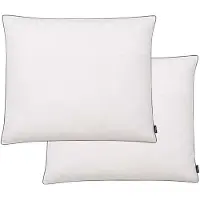 vidaXL Oreiller lot de 2 Remplissage de duvet léger 70 x 60 cm Blanc