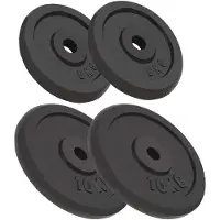 vidaXL Disques d'haltères 4 pièces 2x10 kg+2x5 kg en fonte