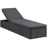 vidaXL Bain de soleil Poly rotin noir et gris foncé