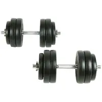 vidaXL Ensemble d'haltères 30 kg