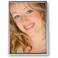 Zep Fotolijst 120S06-6R Zilver 15x20cm
