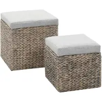 vidaXL Repose-pied lot de 2 Jacinthe d'eau Gris