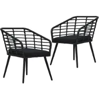 vidaXL Chaises de jardin 2 pcs. avec coussins Poly rotin noir