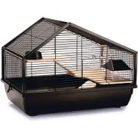 Beeztees Cage pour rongeurs Boas Noir 58x38x43,5 cm Métal