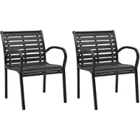 vidaXL Chaises de jardin 2 pcs acier et WPC noir