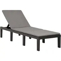vidaXL Chaise longue avec support Plastique Anthracite