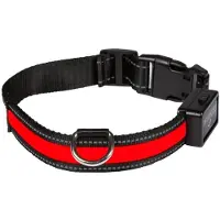 Eyenimal Collier Lumineux Light Collar Usb Rechargeable S - Rouge - Pour Chien