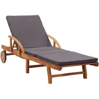 vidaXL Bain de soleil avec support Bois massif Acacia